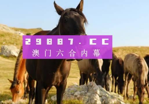 2025新澳门和香港天天精准免费大全和澳门管家婆100%精准准确词语释义、解释与落实